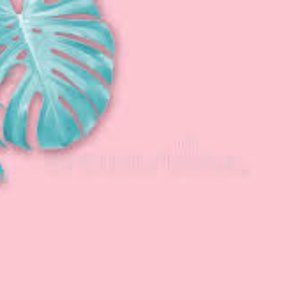 Meet your Posher, Kelechi